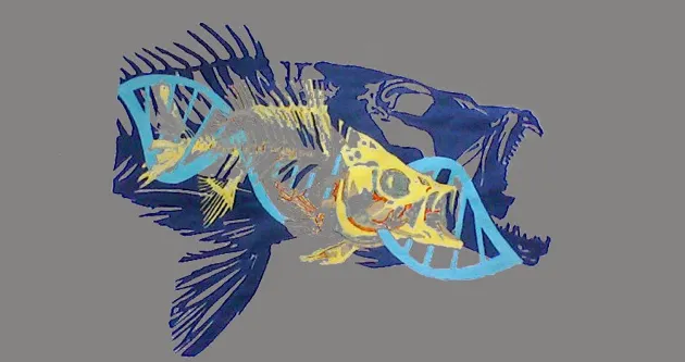 fish skeleton with a smaller fish overlaid and a DNA symbol in the middle.