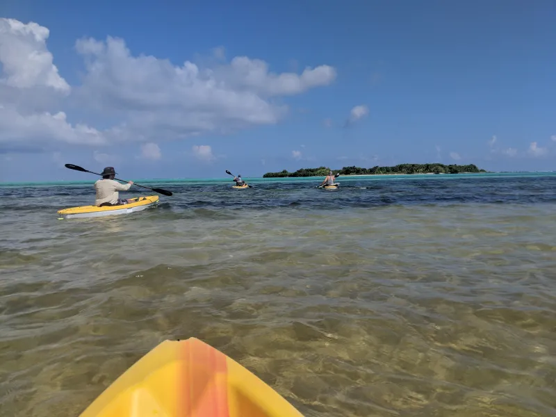 kayaking in the cayman islands.