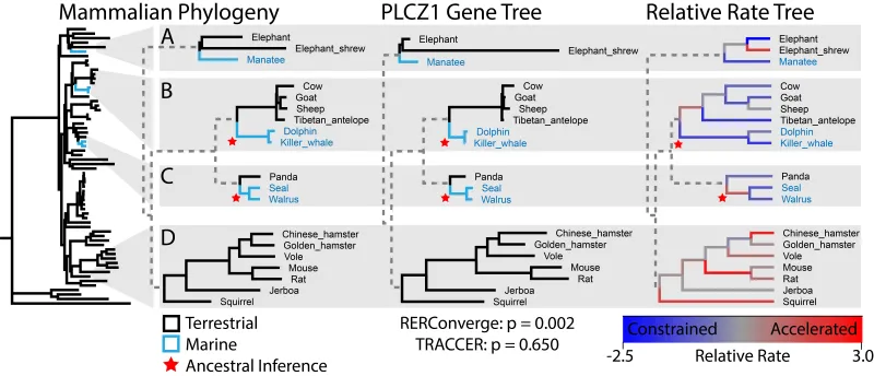 decorative image of a traccer chart.