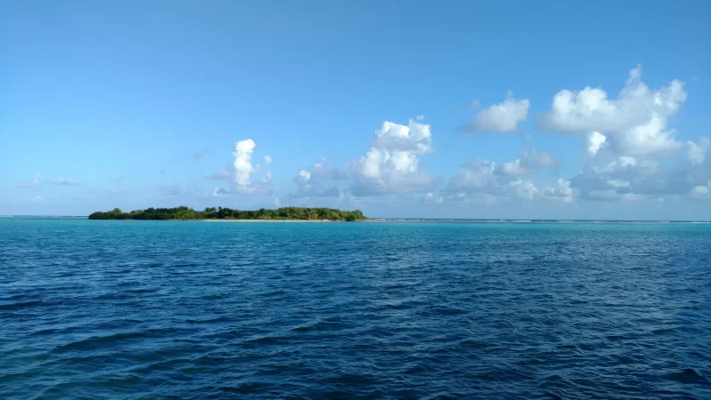A large expanse of sea with Crisp island in the middle.