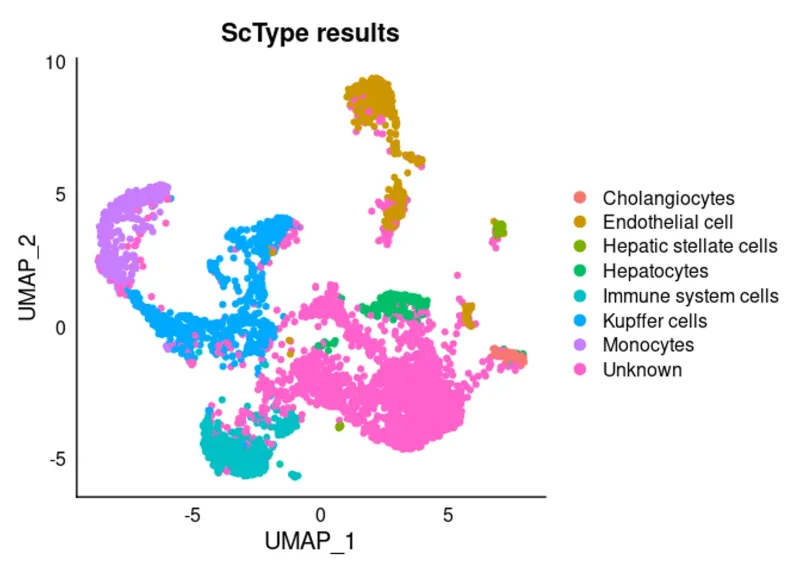 A map of pediatric liver cells.