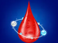 Blood drop illustration with red blood cells