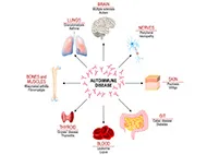 diagram showing autoimmune disease effects on the brain, nerves, skin, git, blood, thyroid, bones, muscles, and lungs