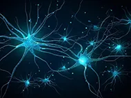 firing electrons in brain nerves