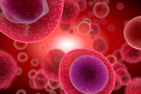 Illustration of blood cells