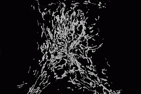decorative image of mitochondria in axons