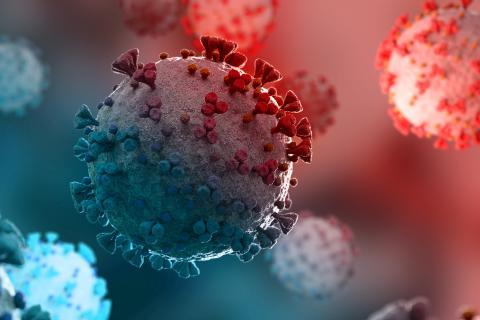 covid 19 cells
