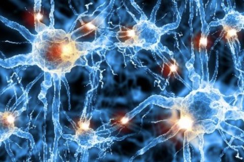 nerve cells firing