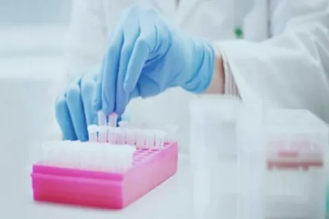 person wearing medical gloves holding test tubes